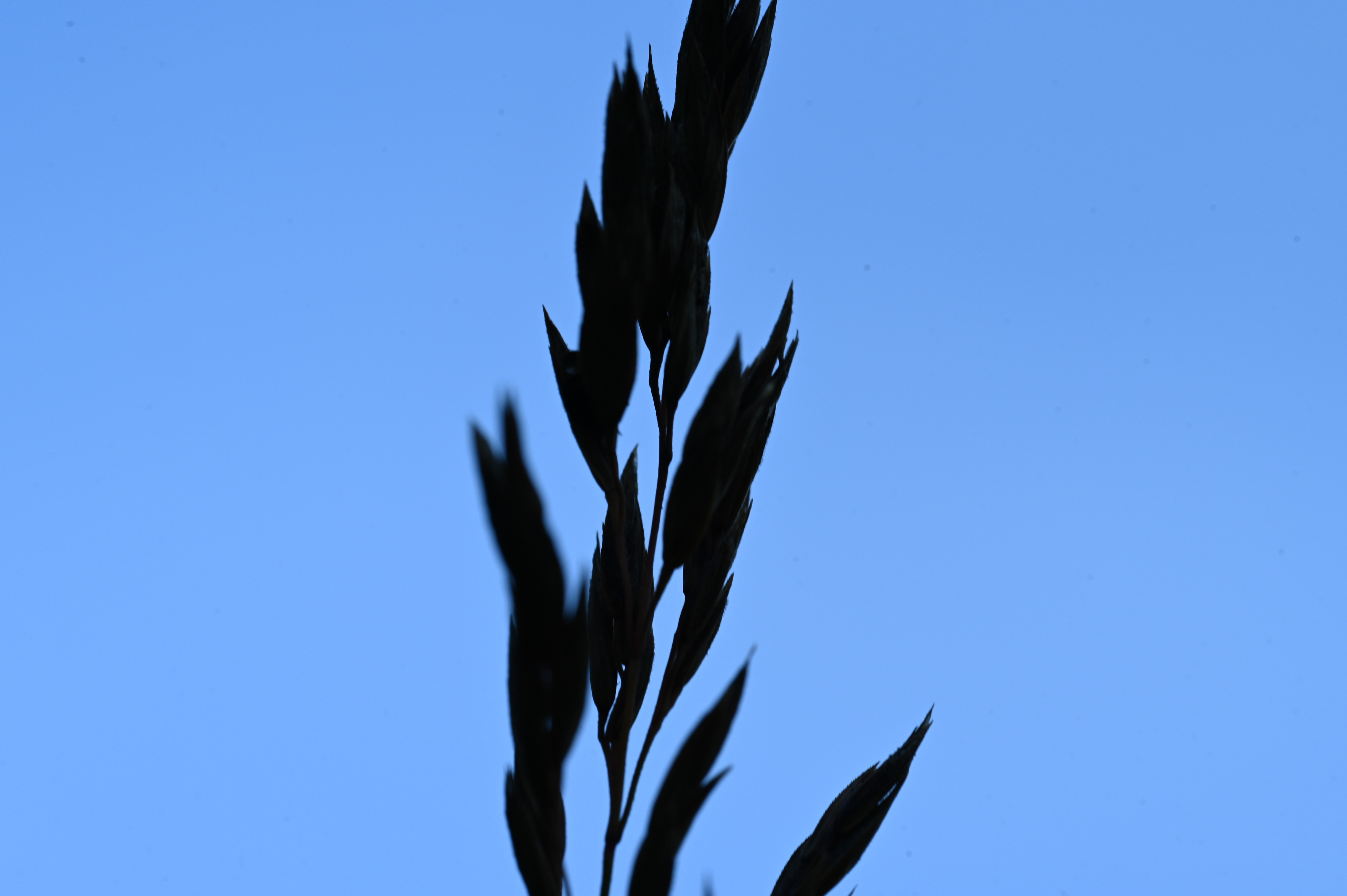 2025/07/09-14 - trip/DSC_0075.JPG